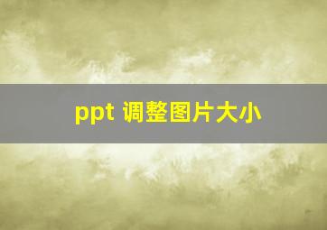 ppt 调整图片大小